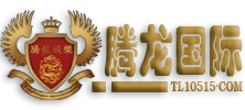 腾龙国际融资租赁服务平台
